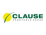 Clause Seeds