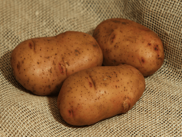 Картопля насіннєва Тірас 1 репродукція, 3 кг 803 фото