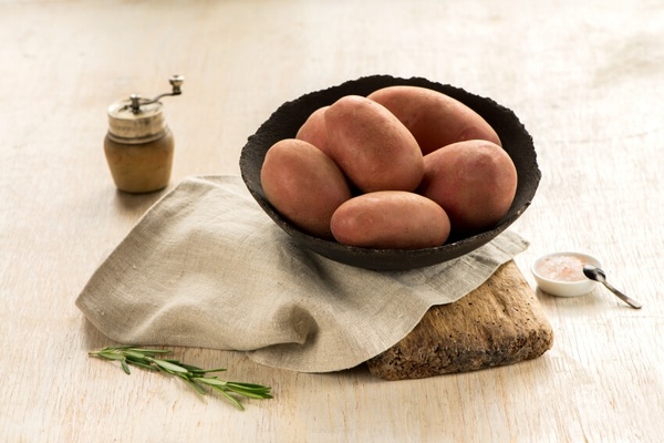 Картопля насіннєва Санібель (Europlant) 1 репродукція, 3 кг 2185 фото