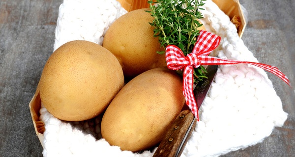 Картопля насіннєва Отолія (Europlant) 1 репродукція, 3 кг 798 фото