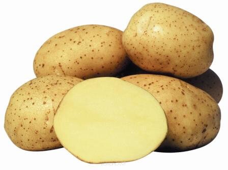 Картопля насіннєва Вінета (Europlant) 1 репродукція, 3 кг 2189 фото
