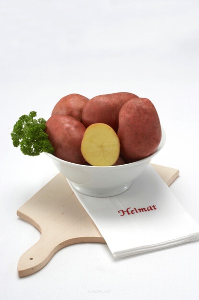 Картопля насіннєва Беллароза (Europlant) 1 репродукція, 3 кг 1431 фото