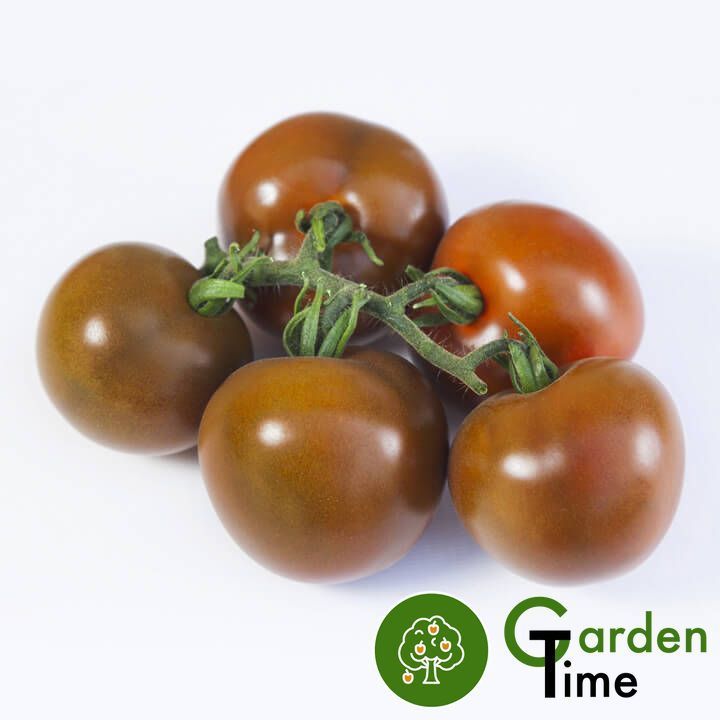 Томат KS 3900 F1 семена купить в Украине | Kitano Seeds